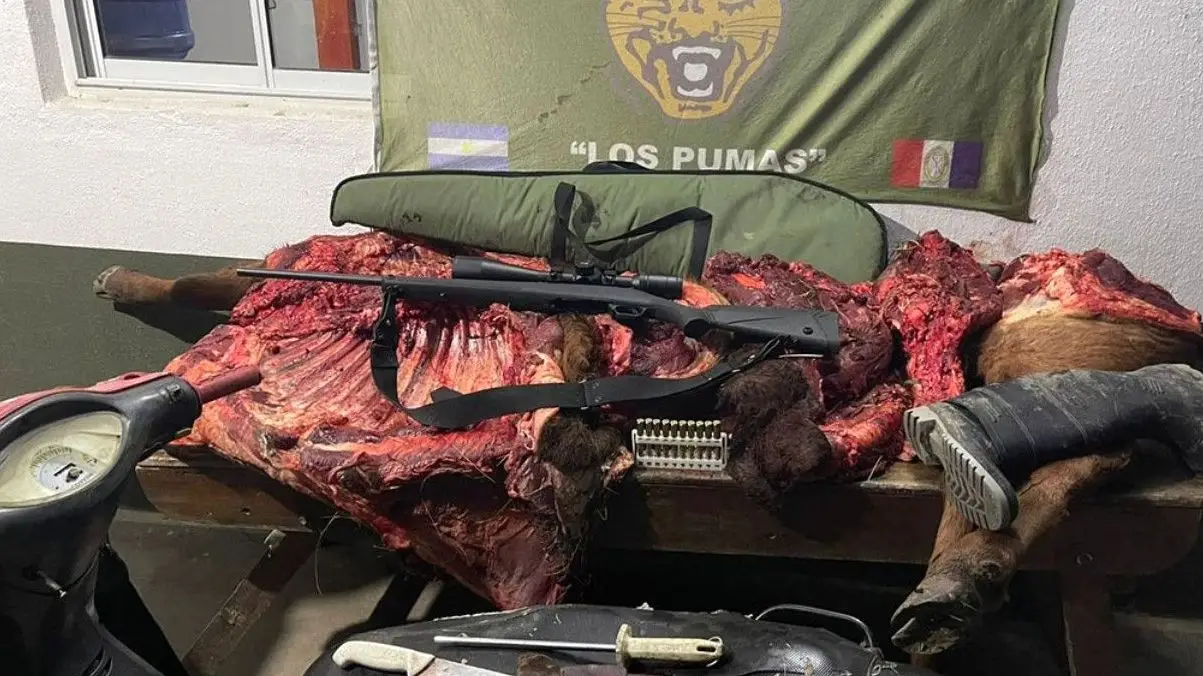 Efectivos de Los Pumas detienen a dos hombres en Vera por abigeato